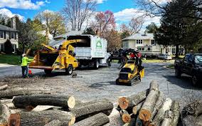 Reliable East Foothills, CA Tree Care Solutions