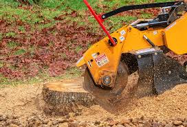 Best Lawn Disease Treatment  in East Foothills, CA