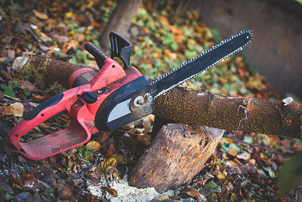 Best Aeration Services  in East Foothills, CA